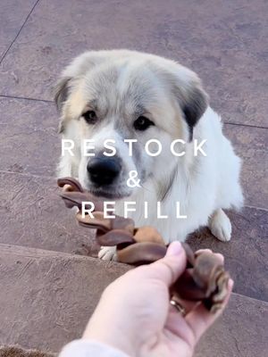 A post by @offbeat_momma on TikTok caption: Treat restock for the puppers! Barry gets so excited when I make these videos - he knows he’ll get something special at the end 😂🥰  #restock #restockasmr #restockandrefill #satisfying #fyp #foryoupage #restockoclock #restockday #asmr #dogsoftiktok #doggo #doglove #greatpyrenees 