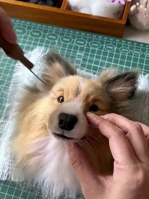 A post by @superlee18 on TikTok caption: #pets #cute #Handmade #dogs 