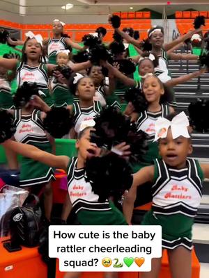 A post by @hbcucultureshop on TikTok caption: The rich HBCU culture legacy is alive and well 💚🫶🏾🧡 Show these baby rattlers some love! #hbcu #famu #hbcucheer #fyp #foryoupage #hbcupride #hbcugrad #hbcucheerleaders #hbcuculture #hbcutiktok 