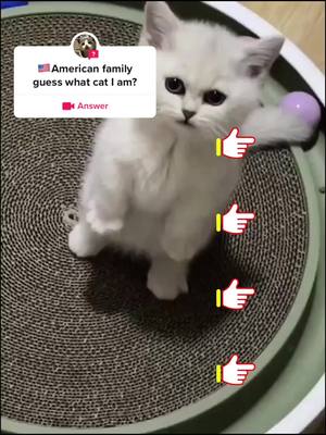 A post by @cutewow089 on TikTok caption: #answer to @cat_cutewow 