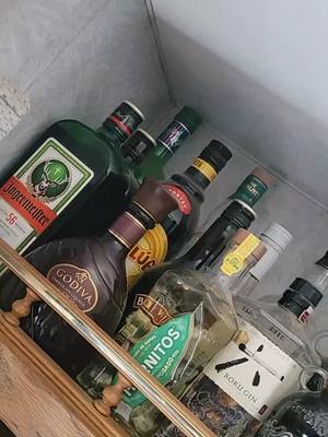 A post by @itsmebriofficial on TikTok caption: this isn't even all of my alcohol 😂 #fyp #duet #foryoupage #alcohol #lmfao #shotsshotsshots 