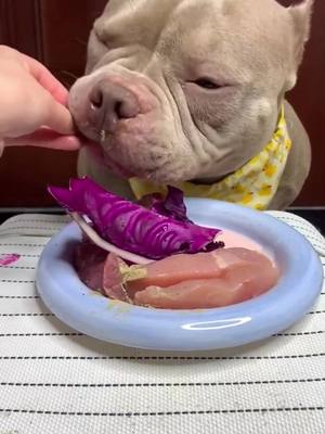 A post by @eatwithspunkyjunky on TikTok caption: Dragon fruit again! #pitbullsoftiktok #rawfeddog #ASMR #trending #foryourpage 