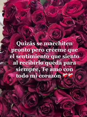 A post by @yaquemora0 on TikTok caption: #Te amo 🥰👩‍❤️‍👨@josegarcia1749 