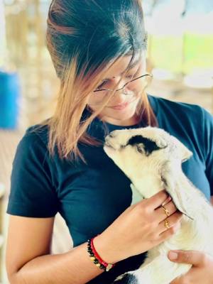 A post by @rheyshvana on TikTok caption: #CapCut #fypシ #trending #featurethis #goat🐐 #farm 