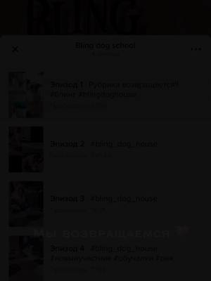 A post by @bling.dog.house on TikTok caption: Какое-то там по счёту возвращение🤣 #blingdoghouse #foryou #собаки #догхауснабор 