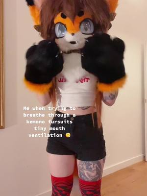 A post by @furember on TikTok caption: #furry #kemonofurry #fursuit #kemonofursuit #altgirl #kemonofursuiter #fursuiter #cutefursuit 