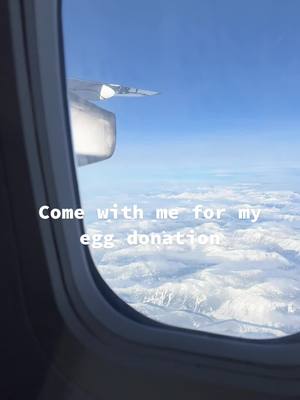 A post by @catperron98 on TikTok caption: My egg donation with @EggHelpers 🐣