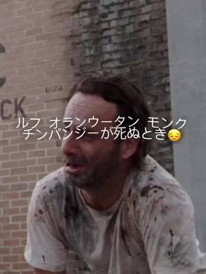 A post by @vsrzcxs on TikTok caption: Too real || #fyp #rzcxs #edit #rickgrimes #sad #mootmetargazerr @aehxwk @vsplynx @vsp.shxzam @nasmcu @bournevisualz @vipervvs @vsyyang @vsp.supreme @vsp._.sano @vspdoom_ @vsmavxzy @vvscxyte @vsptaq @vsmacy @.vschris @.vschrxs @vsjucc @vs.peak @vs.dxma @vsxeno @vsmoral @vsneo @tanjiku @vsp.qzxl @vspxenoo @vsp.noirr @vscaii @vseliii @vsp.vexy @pxtrick.9 @vsp.n1ck @vsjuvi @vskuzy @vsblek @vsbray0 @vsp.nightxo @vspjoshi3 @vs.rexy @vsp.jahamez @vsp.cwfe @vskuzyy @.vsstarzz @.vspcarti @vs.solos @vs.vampp @vs.hmcyde @vsp.pixfty23 @vspkhs @vschrisss @vsp.daidai @vspsixx @vs.jxhh @vsp.phatty @vsp.axle @vsp..cashh @vsp.shady @vsp.jordannn @vsp.fabss_slayer @vsp.sinner @vsp.jxck @vspstezy @vsp.apollo @vsp.am.cc.ae.only @vsp.trmix @vsp.slep @vsp.txm @myles.xd @vsp._rylee @vsp.ice @vsp.deebo @vsp..axel.alt @vsp_king24 @vsphurtsaudio @vspkanuz @vsp.ryze5 @vspxler @vspsp1cy @vsp.klash @vspskixzz @vsplamar @vspxkaa @vspp.marfr @vsp_jiggy @vspeditor.cam @vs.phs7 @.vspsauce @.vspwrlds @user8928.949388383838383 @vsp.jason_ @vspfillmzs@vspp.editssss  @.nefsko @vsp.x_dome @vspdunky @vsp.spxdey21 @vspmouse @vspmxnft