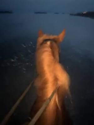 A post by @clo_eventing on TikTok caption: Baignade nocturne #fyp #foryou #pourtoi #mer #plage #nuit #valrasplage 