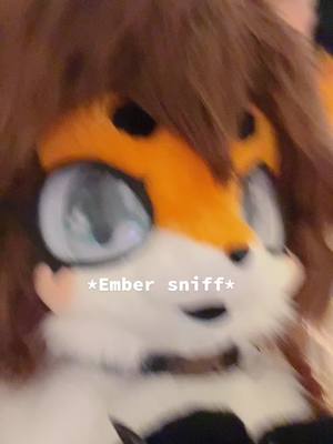 A post by @furember on TikTok caption: #furry #kemonofurry #fursuit #kemonofursuit #altgirl #kemonofursuiter #fursuiter #cutefursuit