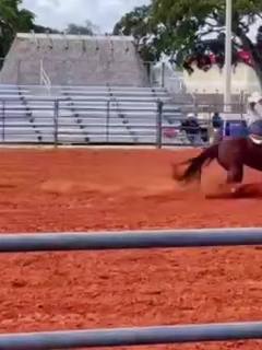 A post by @jocee_lou on TikTok caption: 😈😈 #fyp #Rodeo #barrelracing 