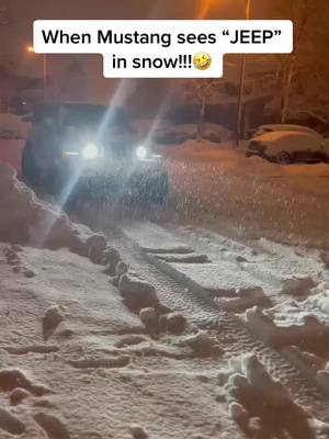 A post by @talwindersingh619 on TikTok caption: @Arshdeep Mangat882@Daman sidhu@#jeep#mutang #4x4 