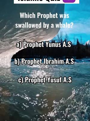 A post by @islamicways365 on TikTok caption: How many did you get? #fyp #islam #islamicways365 