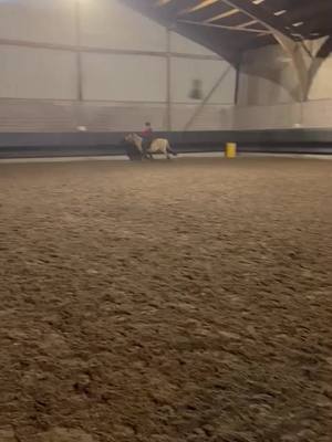 A post by @kauffer_equitation on TikTok caption: Idalgo #pourtoi #cheval #équitation #Equestrianthegame #Équitation #pony #dressagehorse #kaufferequitation