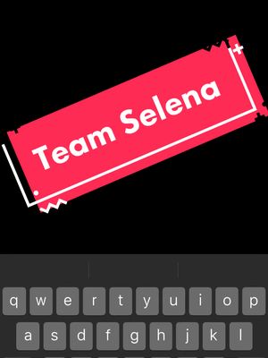 A post by @brittanyritter1993 on TikTok caption: Team @selenagomez  #teamselena #fyp 