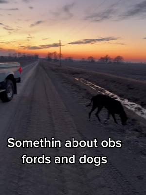 A post by @shea_robert_son on TikTok caption: #fyp #iowa #obs #f250 #powerstroke #dogsoftiktok 