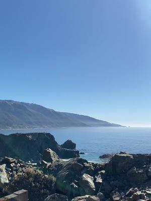 A post by @chubbsthegolden on TikTok caption: Big Sur magic with my humans #bigsur #momanddad #carmelbythesea