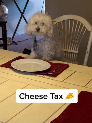 A post by @patrickbarnes on TikTok caption: Always gotta pay the cheese tax 🧀😂