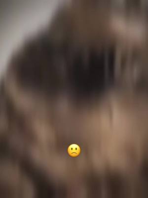 A post by @lliipgallagher on TikTok caption: CATS ARE COOL 😊😎 #fypシ #catsoftiktok #fyp #chubbycat 