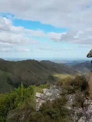 A post by @dylan7moore7 on TikTok caption: New zealand is a dream!!