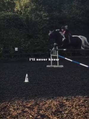 A post by @jlb__equestrian on TikTok caption: Old video but still one of my favourites! #CapCut #equestrian #equestriantrend #trend 