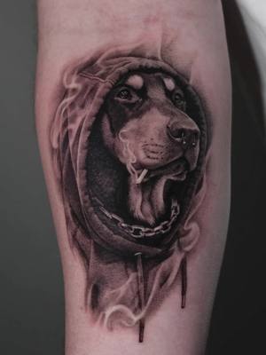 A post by @amirtwo on TikTok caption: Loved doing this one. W client as well, thanks man 😎 #tattoo #realismtattoo #blackandgreytattoo #dogtattoo #hoodiedogtattoo #dogportraittattoo  