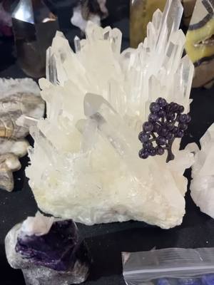 A post by @pweeishere on TikTok caption: The 100 lb shipment Unpacked #crystals from my live. #crystaltok These will be for sale in 2 weeks at my #crystalshop #clearquartz #clearquartzcluster #fyp #amethyst #rosequartz #fluorite #foryou #grapeagate #malachite #bloodstone #crystalsoftiktok #septarian #septariannodule #amethysttree #citrine #greengrapeagate #smokeyquartz #crystaljewelry #crystalunpacking #newarival 