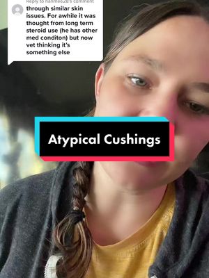 A post by @hungryhippos on TikTok caption: Replying to @hanmee28 #atypicalcushings #cushingsdisease #americanbully. 