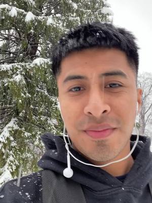 A post by @chepito15jc on TikTok caption: #snowing #NY 🌨️