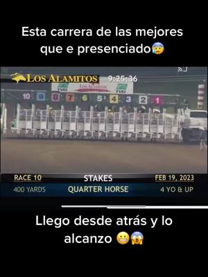 A post by @racingcm07 on TikTok caption: Carrerona🤯😱 #horseracing #foryou #carrerasdecaballos #parati #fyp #corridosdecaballos #maturitymillonario #losalamitosracetrack #empressum🔥🏇🏻 