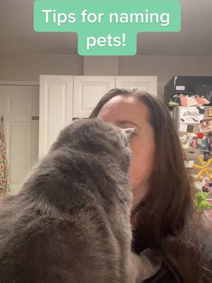 A post by @shazlovescats on TikTok caption: Tips on how to name your new pet! #name #pets #tips #cats #dogs #Naptime #MrFurley #pointers