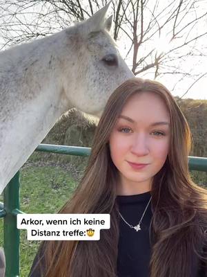 A post by @tonibichel on TikTok caption: Spaß, manchmal rettet er auch🤓 Wenn ihr die Wahl habt: Lehrmeister oder Jungpferd? #equestrian #horse #fy #viral