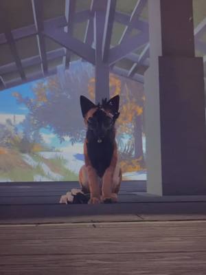 A post by @dutch_.the._.malinois on TikTok caption: @crimson_oasiswcue for credit for both the edit and the sound 💀 #wcue #wcueroblox #wcuefyp #wcuefy #wolf #belgainmalinois #wcueedit #wcuetiktok #wcuetoker #wcuetiktoker #dutch_the_malinois #wcuetok