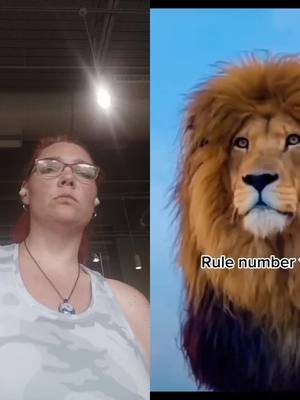 A post by @southernqueenmom on TikTok caption: #duet with @mentalhealth_lions_ 