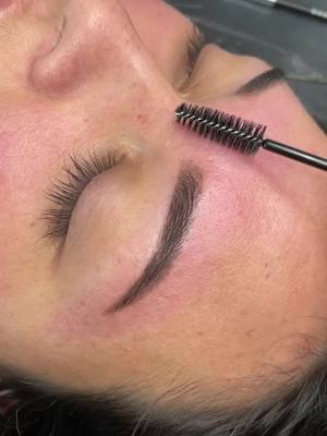 A post by @michellecastillo_pmu on TikTok caption: Healed brows after 1 year and ready for a touch up ✨ #powderbrows #powderbrow #brows #ocbrows #ocbrowartist #ocombrebrows 