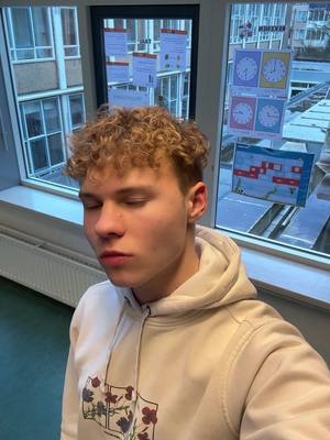 A post by @quinnenaaronspam on TikTok caption: #aanhechten met @Luca Mornet blijkbaar ben ik een 2020 fckboy 