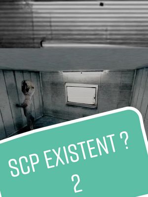 A post by @lawstun on TikTok caption: ⚠️FICTION⚠️#lawstun #fiction #etsi #scp #horror 