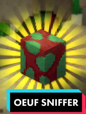 A post by @frynemc on TikTok caption: Réponse à @frynemc La Plus GROSSE Snapshot 1.20🤯🤯 #Minecraft #fryne #minecraftsnapshot #minecraftnews #minecraftupdate #minecraft120 #minecrafttips #minecraftsecret