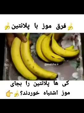 A post by @arezoo600 on TikTok caption: مه خودم تا پنج سال پیش نمیفمیدم که پلانتین میوه نیست و خام خورده نمیشه🍌🤦‍♀️