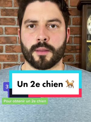 A post by @renaudlaliberte on TikTok caption: Pour obtenir un 2e chiens 🐕🐩 #negociation #2echien #chiens 