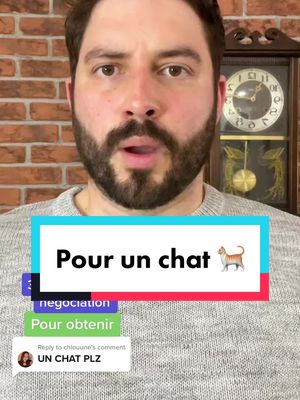 A post by @renaudlaliberte on TikTok caption: Replying to @chlouune pour un chat! 🐈 #négociation #chat 