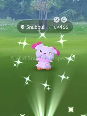 A post by @zoracscollects on TikTok caption: Catching Shiny Snubbull In Pokémon GO #209 ❤️ #pokemon #pokemongo #shinypokemon #fypシ #pokemontiktok #pokemoncommunity #pokemonfan #shiny #Shorts #fyp