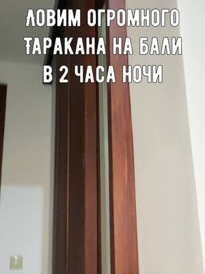 A post by @teacher.tiktok on TikTok caption: #сказочноебали 