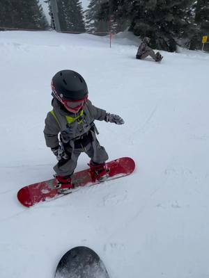 A post by @nismojames on TikTok caption: 3rd season is going pretty good. #4yearslold #snowboarding #burton #libtech #mtshasta #california #winter 