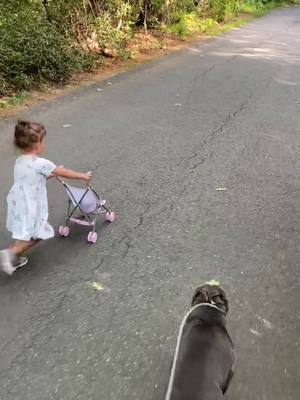 A post by @volitivo_1 on TikTok caption: Her Best Friend #fyp #fypシ #pitbull #pitbullsoftiktok #daughter #protector #Love #loveyou #cute #dogs #dogsoftiktok #dadsoftiktok #daddysgirl #dadanddaughter #family #myworld 