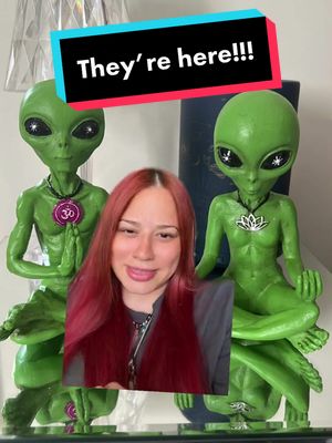 A post by @alexservestalks on TikTok caption: They’re heeeerrreee! #greenscreenvideo #storytime #greenscreen 