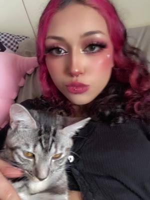 A post by @spitbabiee on TikTok caption: i love my cats #fyp #kittensoftiktok #cat 