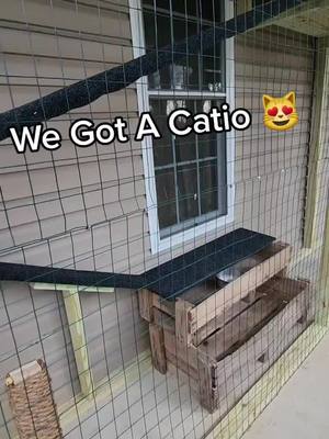 A post by @mamaj.198 on TikTok caption: Finally🙌 #catio