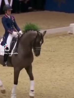 A post by @the_horse.edits on TikTok caption: I'm back 🙋‍♀️☺️ #horse #thehorseedits #valegro #dressage #dressur #foryou #fy #the_horse #imback #fyy #fyp #fd #fds 