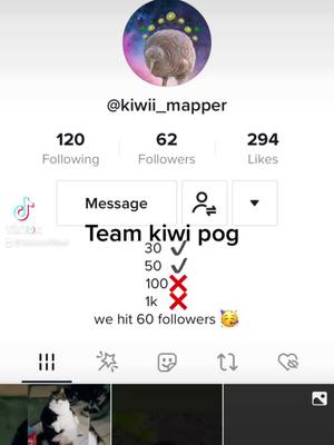 A post by @kiwicertified on TikTok caption: #kiwi #kiwis #kiwibird #kiwibirds